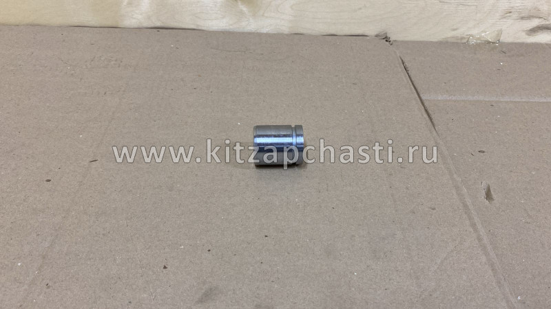 Поршень заднего тормозного суппорта Great Wall Hover H6 3502400AK-PISTON